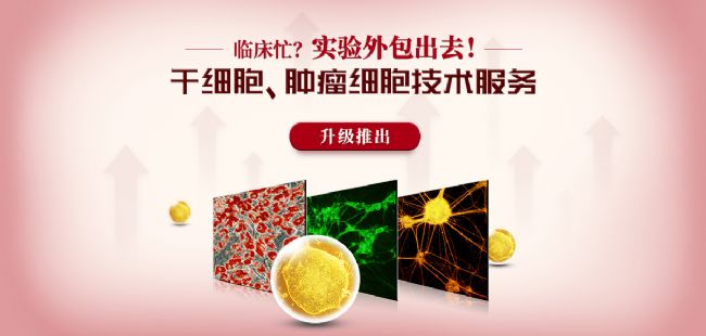 干细胞技术服务