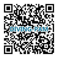 diving-pam��ά��.jpg