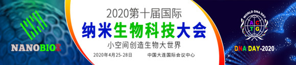 2020��ʮ�������������Ƽ����