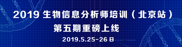 2019������Ϣ����ʦ��ѵ������վ��������