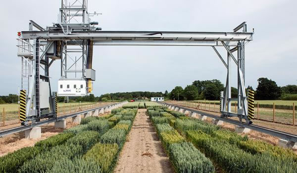 ��ɣʵ����.jpg
