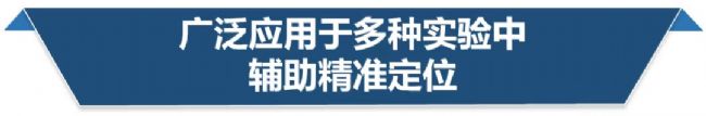 瑞沃德