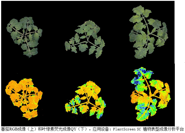 易科泰举办光谱成像技术科学摄影比赛 