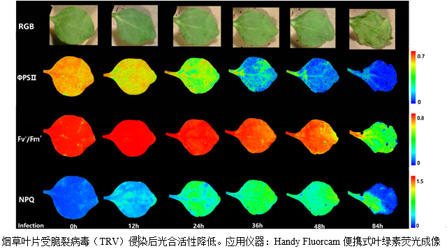 易科泰举办光谱成像技术科学摄影比赛 