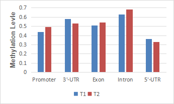4. eccDNA�׻���ˮƽͳ��