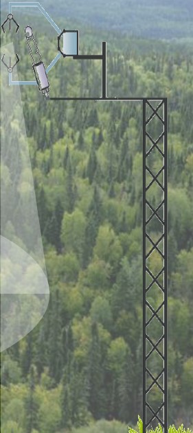 �ı���:  