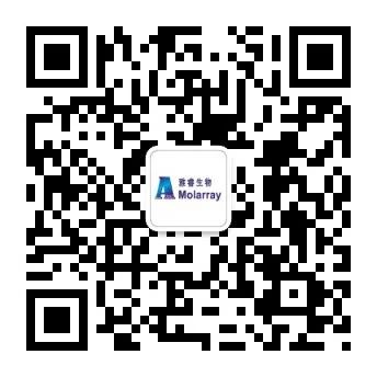 雅睿二维码.jpg 图片