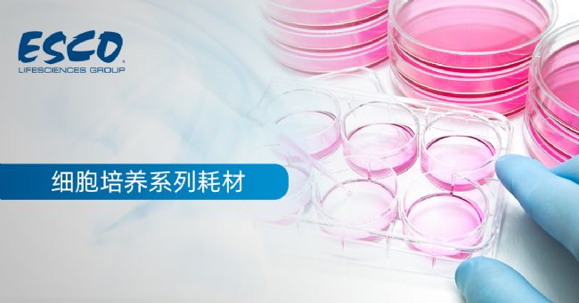 【新品推介】细胞培养系列耗材,你选对了吗?