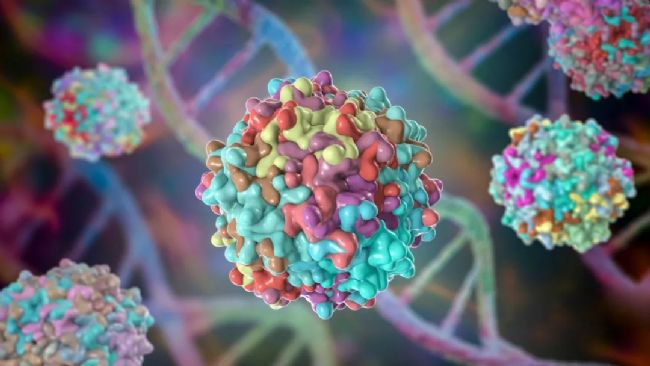 达普生物腺相关病毒(AAV)滴度检测试剂盒新品上市—生物器材网