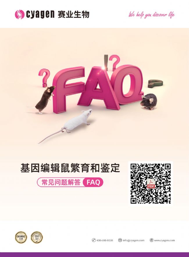 小鼠健康观察及临床症状剖析