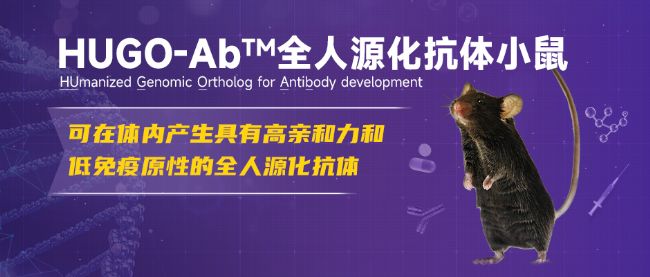 全基因组人源化模型助力罕见病研究