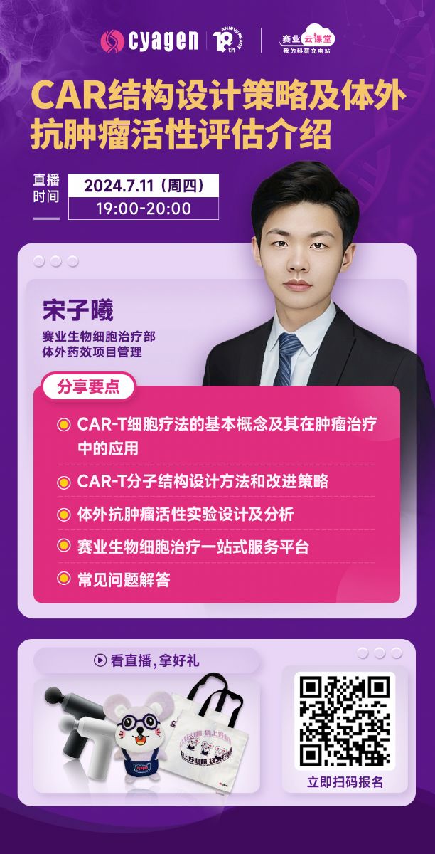 CAR-T细胞的结构设计策略