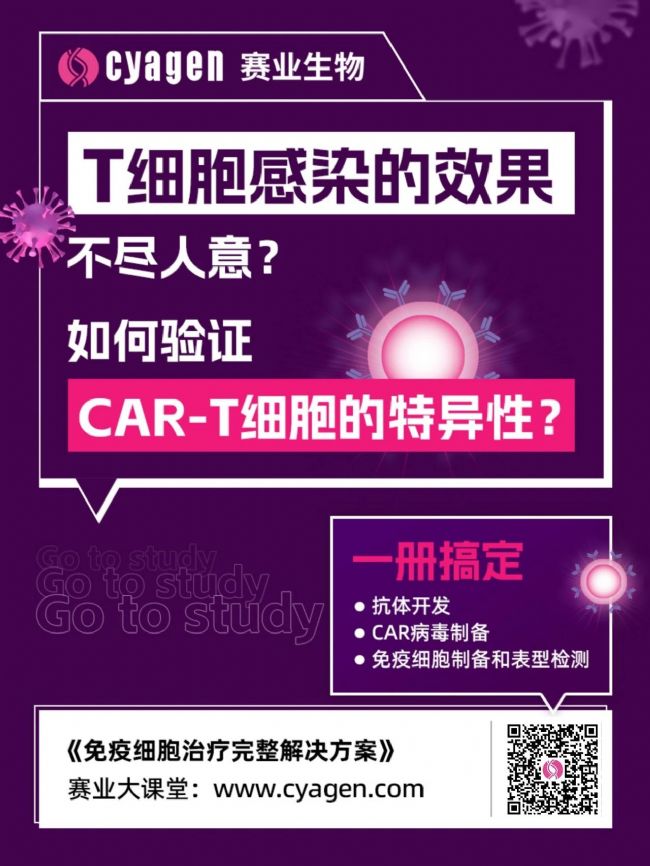 CAR-T细胞的结构设计策略及体外抗肿瘤活性评估介绍