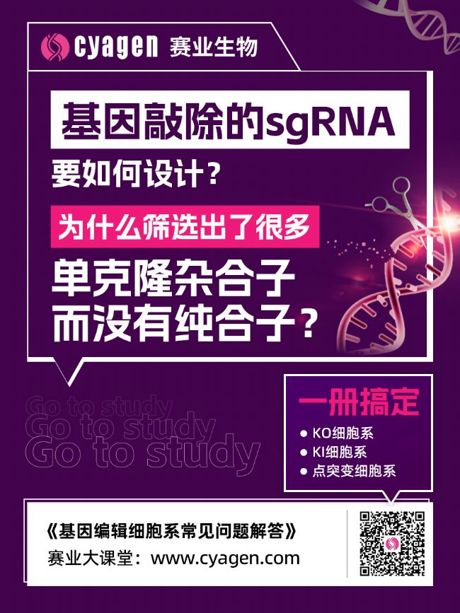 基因编辑细胞技术及其研究应用