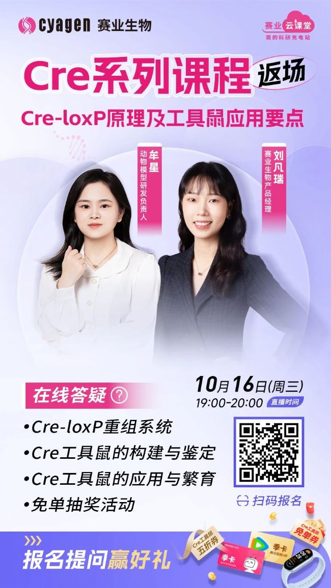 Cre-loxP原理及工具鼠应用要点