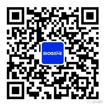 新闻图片4