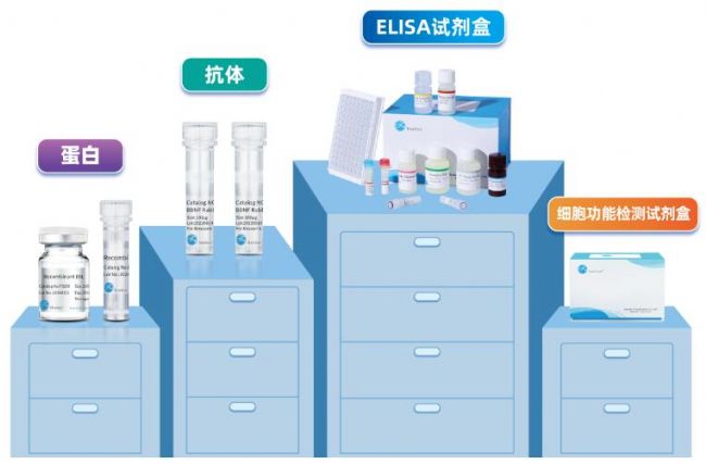 菲恩生物2026秋季开学季促销产品