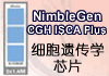 NimbleGenƳCGH ISCA PlusϸŴѧоƬ