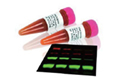 GEҽ��Western Blot ʵ����ز�Ʒ��ѧ�ػ�