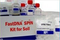 MP���Ʋ�Ʒ����DNA��ȡ�Լ��������ͺ���-���ز�