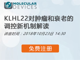 
MD网络讲堂：KLHL22对肿瘤和衰老的调控新机制解读 
