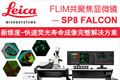 
徕卡FLIM共聚焦显微镜：SP8 FALCON助力荧光寿命成像 
