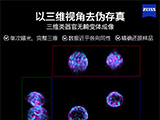 
蔡司Lightfield 4D技术应用案例助力生命活动捕捉
